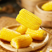 东北糯九黄糯玉米8棒3.2斤 均重200g 加热即食甜糯玉米 源头直发